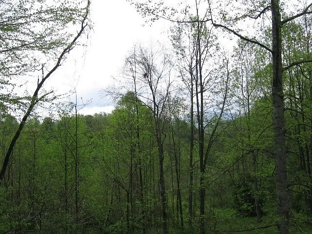 846 S Country Club Dr — Photo 3