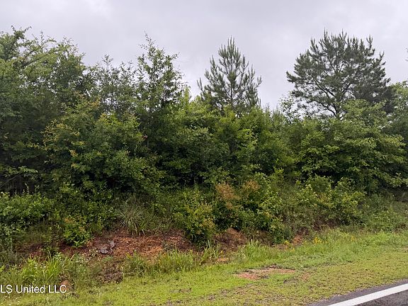 5th image of River Rd N