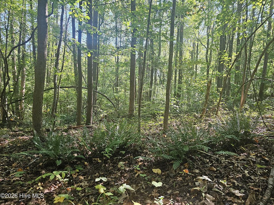 2nd image of 0 Off Old County Home Road