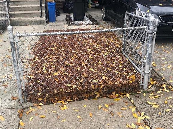 3rd image of 841B E 222nd St