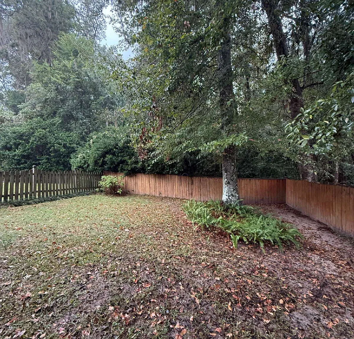 2 bed, 2.0 bath, 968 sqft, $1,495 — Photo 4