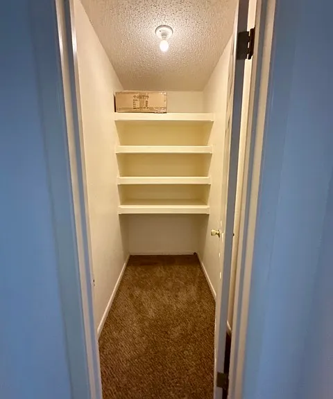 Spacious hallway closet.