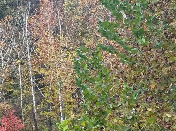 0 Sissonville Dr, Charleston, WV 25320