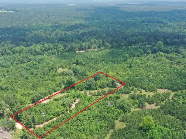 2 County Road 1782, Linden, TX 75563