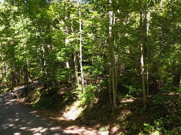 River Oak Dr, Marion, VA 24354