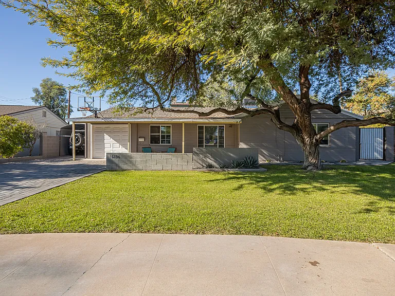 Mature mesquite tree providing natural shade and a calm, welcoming front yard