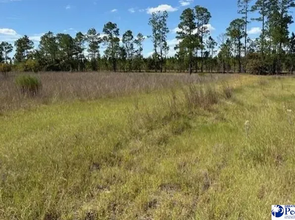 1424 Boatwright Rd, Chesterfield, SC 29709