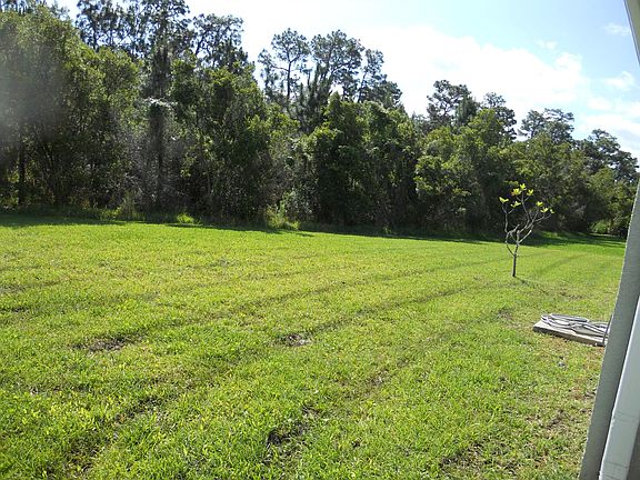 5th image of 9323 Mangrove Ct
