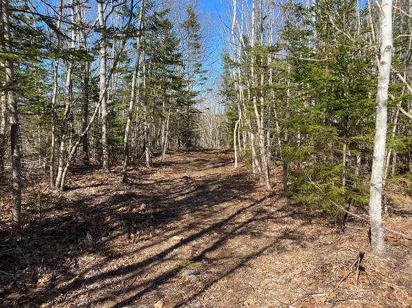 Lot 7 Shattucks Luck Lane, Bristol, ME 04539