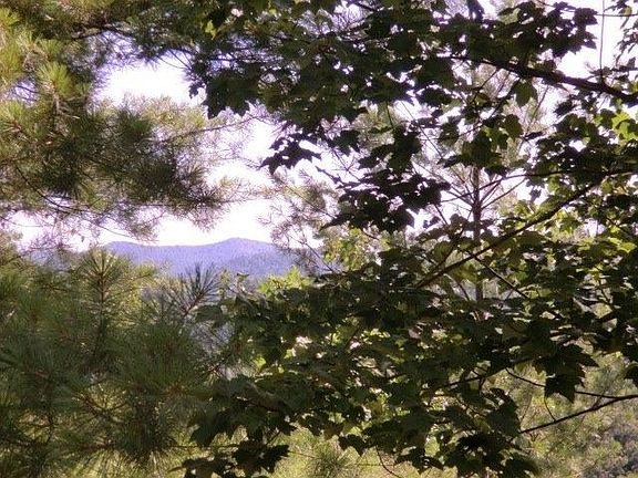 5th image of 282 Star Mountain Dr