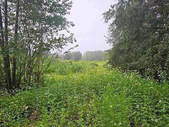 5th image of 7752 SW County Road 242