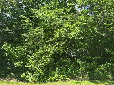 Lot #3 Peaslee  Road Road, Hancock, ME, 04640