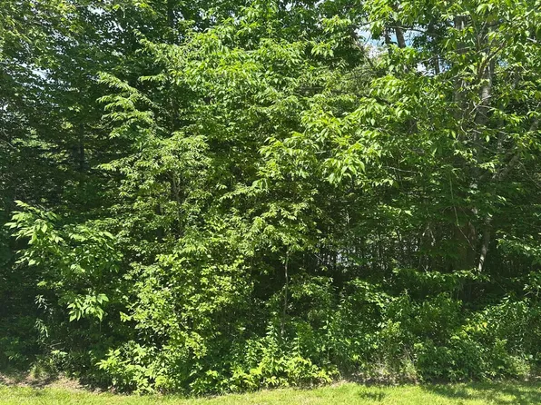 Lot #3 Peaslee  Road Road, Hancock, ME 04640
