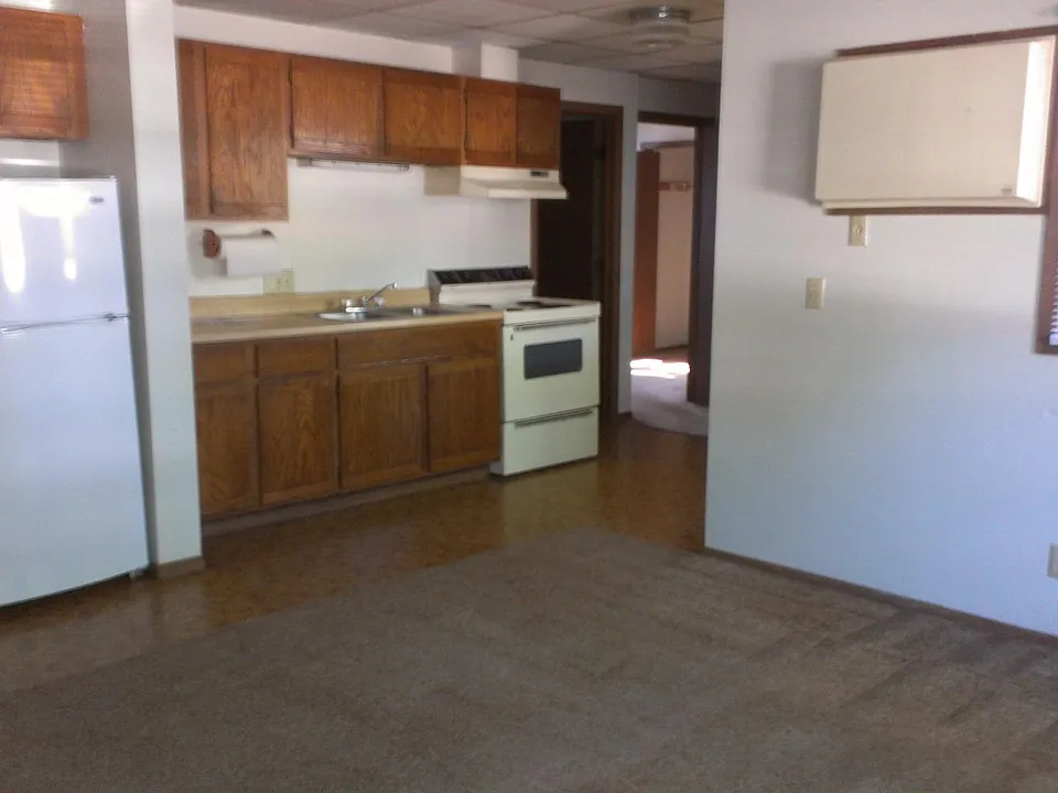 Kitchen / Living Space