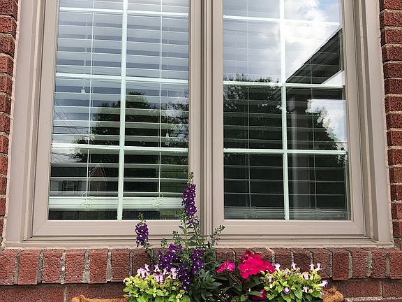 Removable Window Boxes