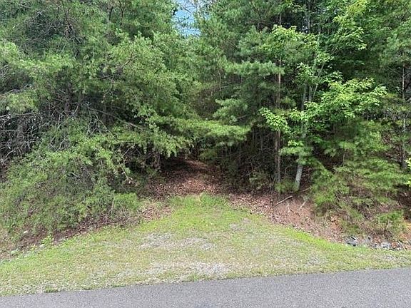 4th image of 0 Owl Ridge Way Lot 221
