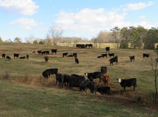 5555 Brights Rd, Pittsville, VA 24139