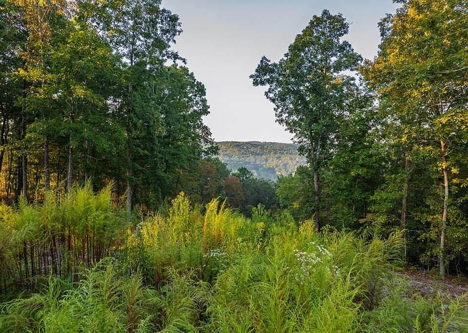 1st image of 290 Anglers Ridge Rd