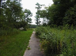 19 Birchway Ln, Mackinac Island, MI 49757