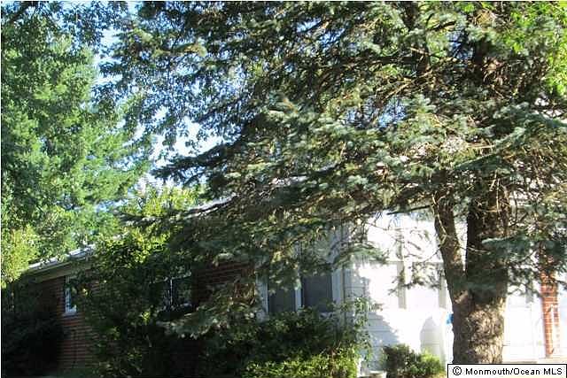 2nd image of 520 Lilac Lane #A
