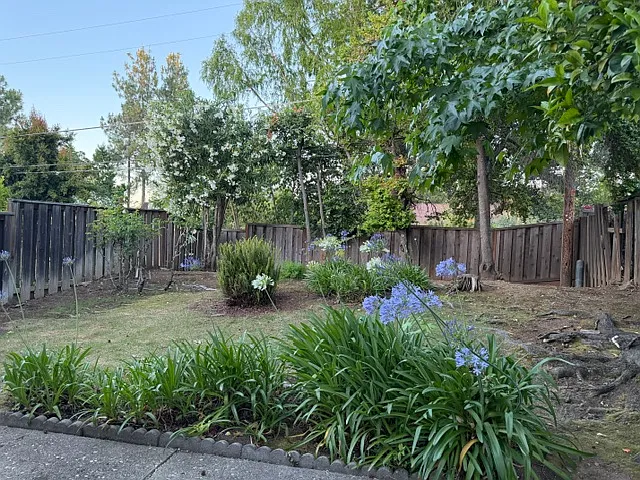 10444 Lockwood Dr #B — Photo 2