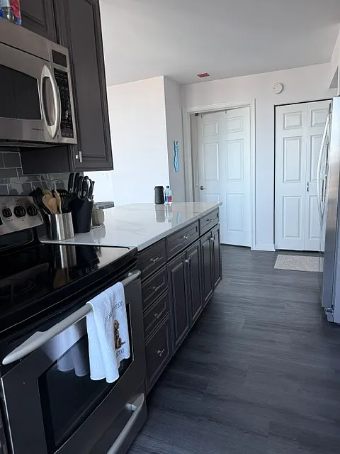 345 N La Salle Dr — Photo 4