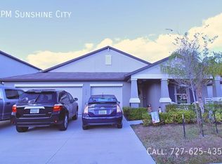 177 Rain Berry Ave, Ruskin, FL 33570