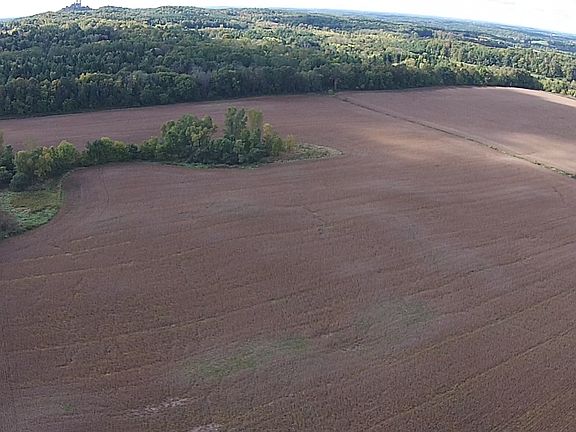Tree Line at Middle of Lot