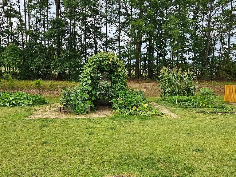 Your room view of the backyard garden
