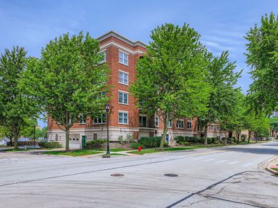 104 N Plum Grove Rd APT 203, Palatine, IL, 60067