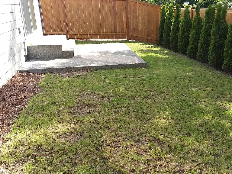 Sunny backyard with arborvitae trees. Patio area for BBQ and furniture!
