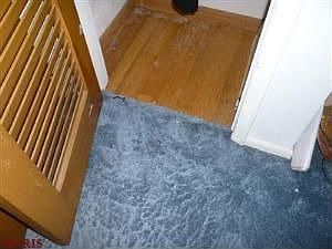 3rd image of 3437 Lone Elm Dr
