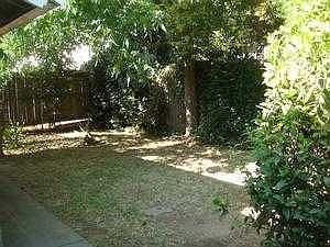 yard