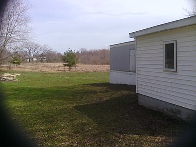 Big Yard