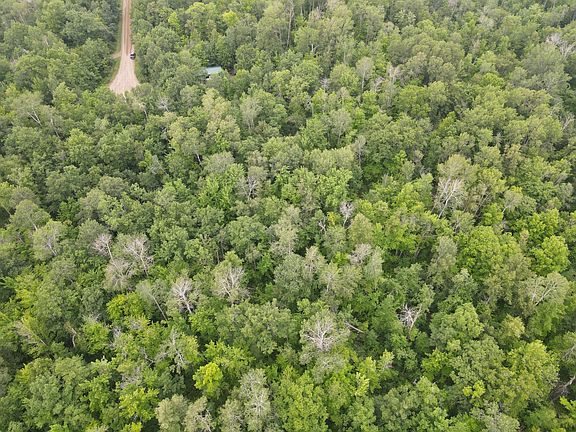 4th image of Woodpecker Ln