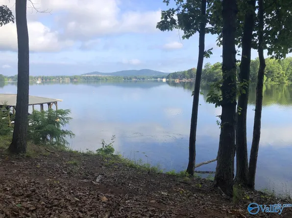 433 Monte Sano Dr, Scottsboro, AL 35769