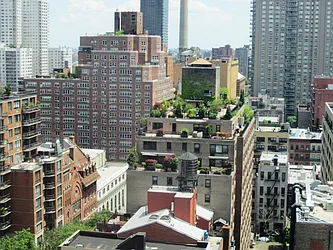 Rented by Rachmani Corporation