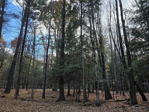 9191 Deerfield Ct, Stanwood, MI 49346