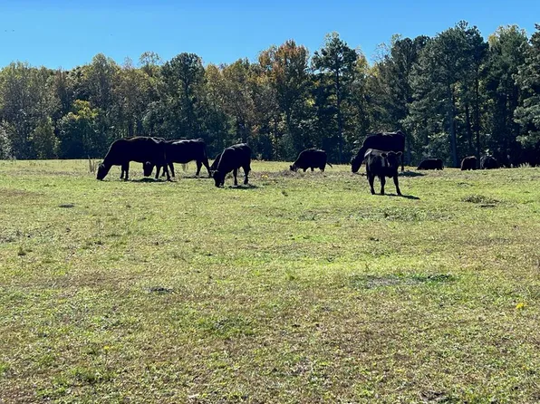 Bold Springs Rd, South Boston, VA 24592
