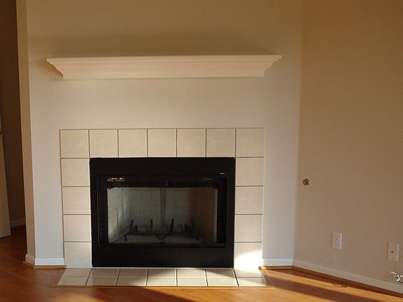 Gas/Wood Fireplace