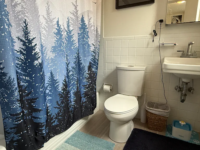 1871 Beacon St #5 — Photo 5