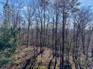 LOT 61 1300th, Blairsville, GA 30512