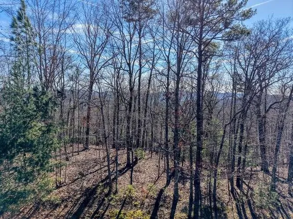 LOT 61 1300th, Blairsville, GA 30512
