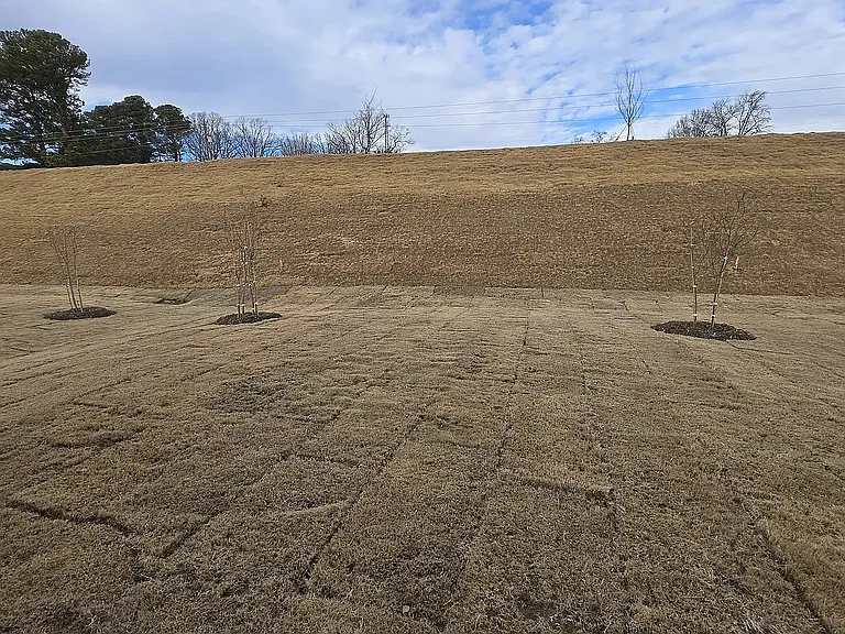 329 Glacier Lake Dr — Photo 25