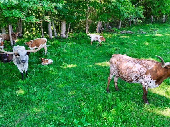 1024 Highway 64 W, Shelbyville, TN 37160