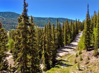 797 Peterson Dr, Alma, CO 80420