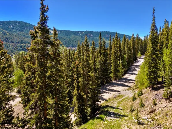 797 Peterson Dr, Alma, CO 80420