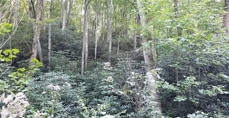 2nd image of 77 Misty Valley Pkwy Lot 4