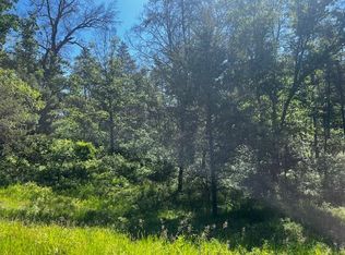 PARCEL 2 N M 37, Irons, MI 49644