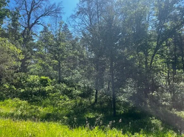 PARCEL 2 N M 37, Irons, MI 49644